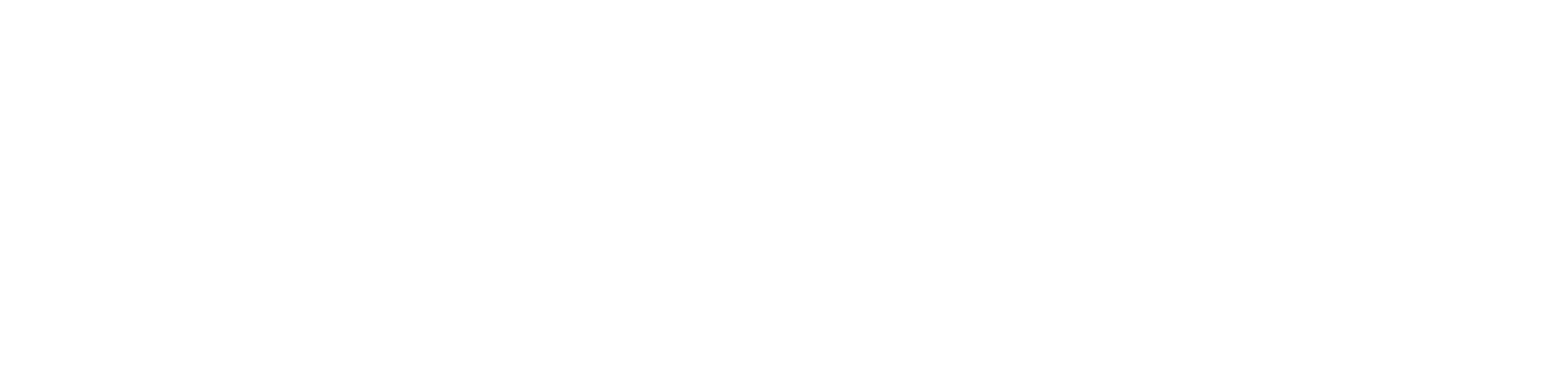 logo-akademie-AFAN-kurzform-quer-negativ